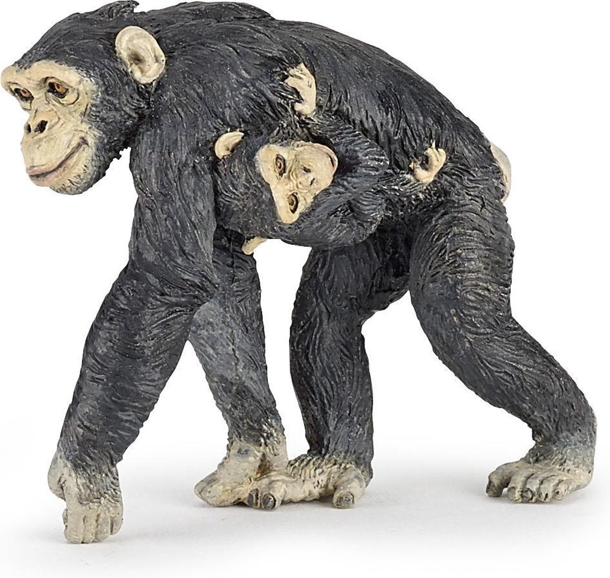 Chimpansee Man met Baby.