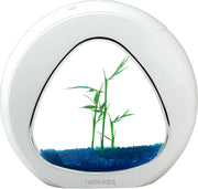 Mini Design Aquarium - 29x15x26.5 cm - 4L