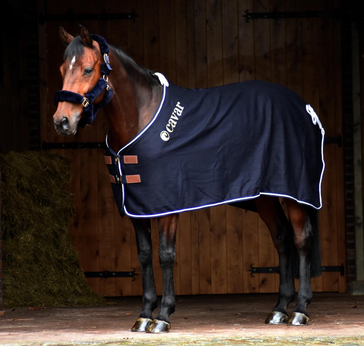 Cavar Wollen Deken 700 gram Donkerblauw 205cm