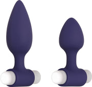 Twee anaalplugs met vibrerende bullet Evolved - - Paars