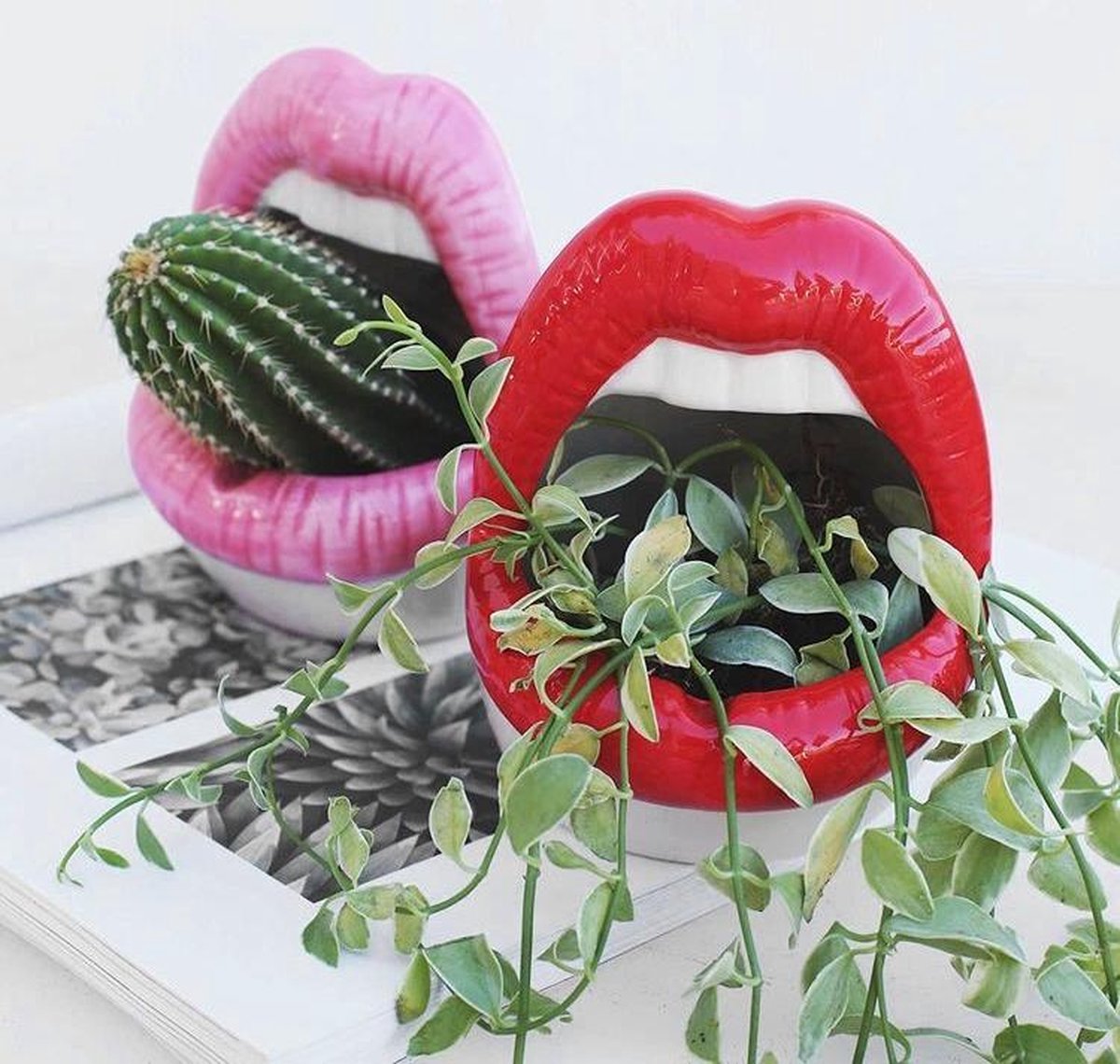 Housevitamin shut up and kiss me potje