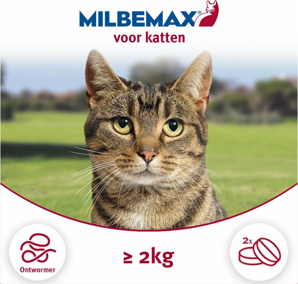 Elanco Milbemax Kat - Anti wormenmiddel - 2 tab 2-8kg
