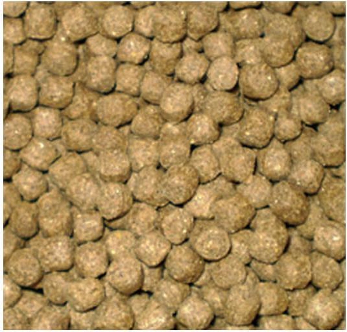 Aqua-Forte Wheat Germ Drijvend Koivoer - 15 Kilo (6 mm)