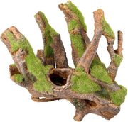 Aquarium Moza wortels - Beige - 25 x 14 x 20.5 cm
