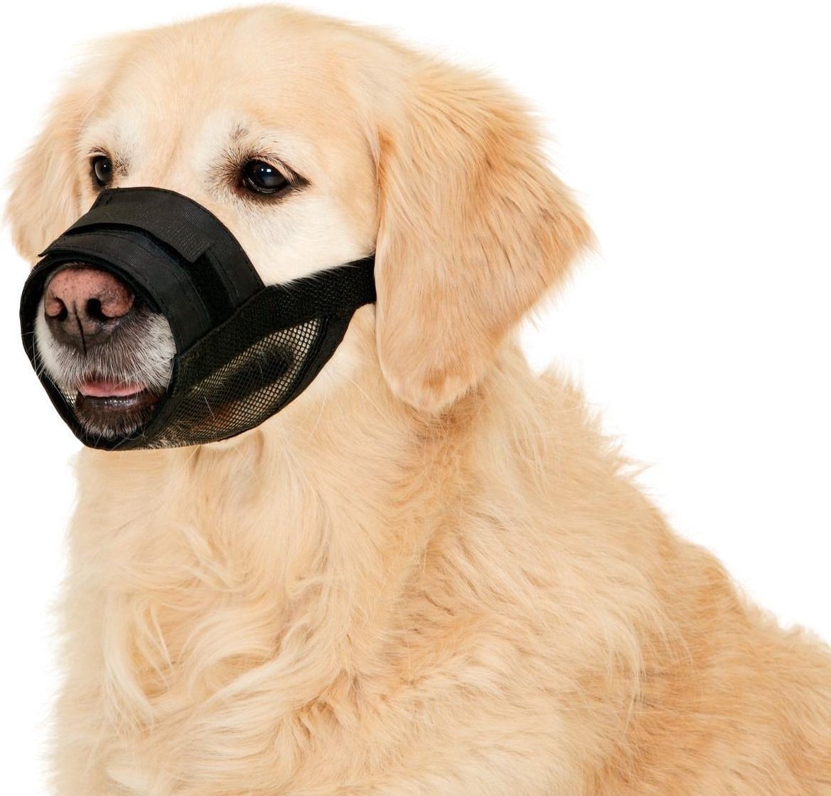 Muzzle soft size 5