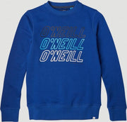 ONeill Trui All Year Crew - Blue - 152