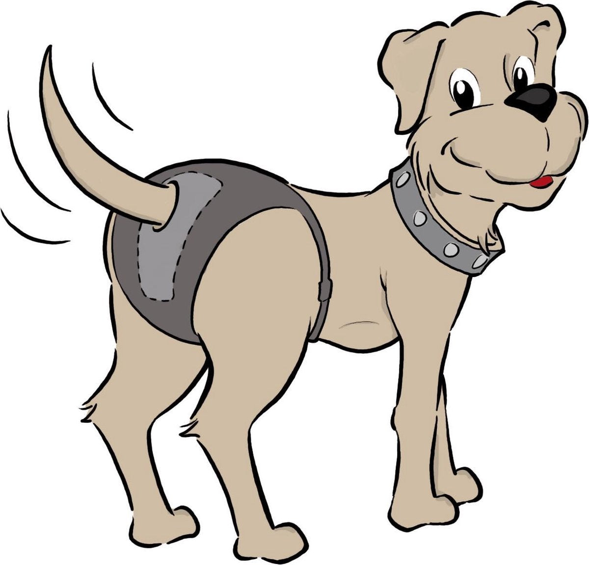 Ruby Care Honden Broekje - Size 5