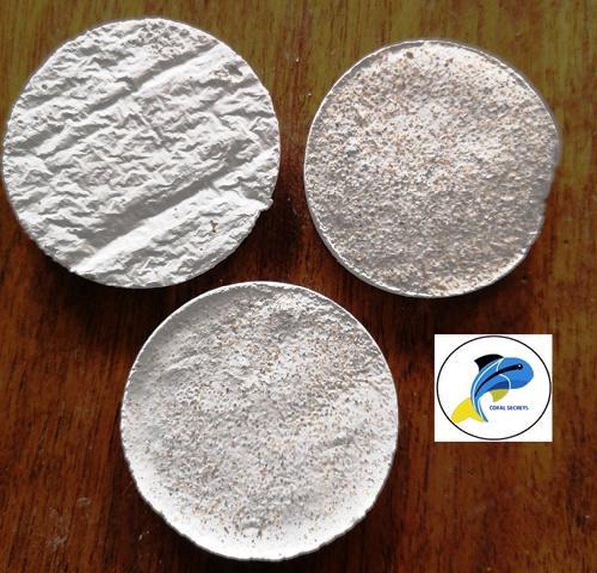 Steksteentjes Coral Secrets Frag Disks XL 100 stuks