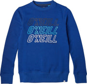 ONeill Trui All Year Crew - Blue - 140