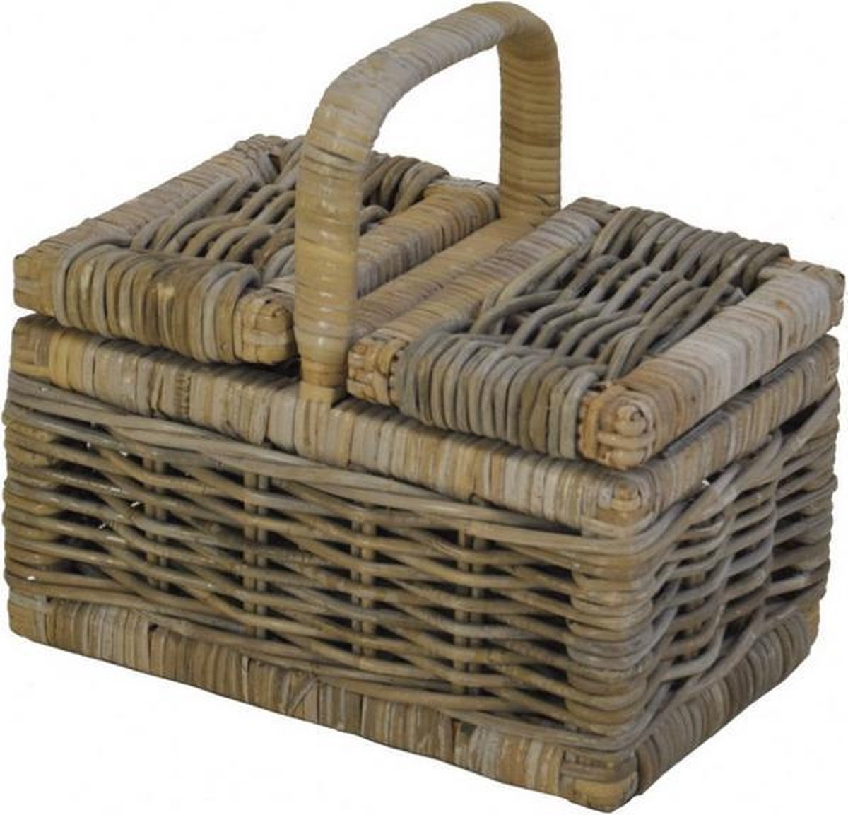 Rotan Kinder Picknickmandje