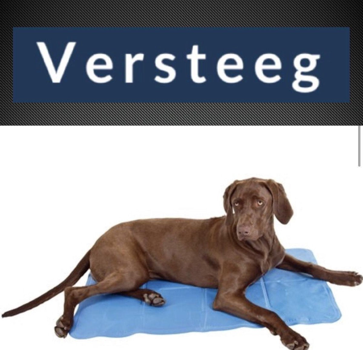 koelmat van Versteeg® - Hondenmat - Koelmat - Verkoeling voor honden - Kattenmat
