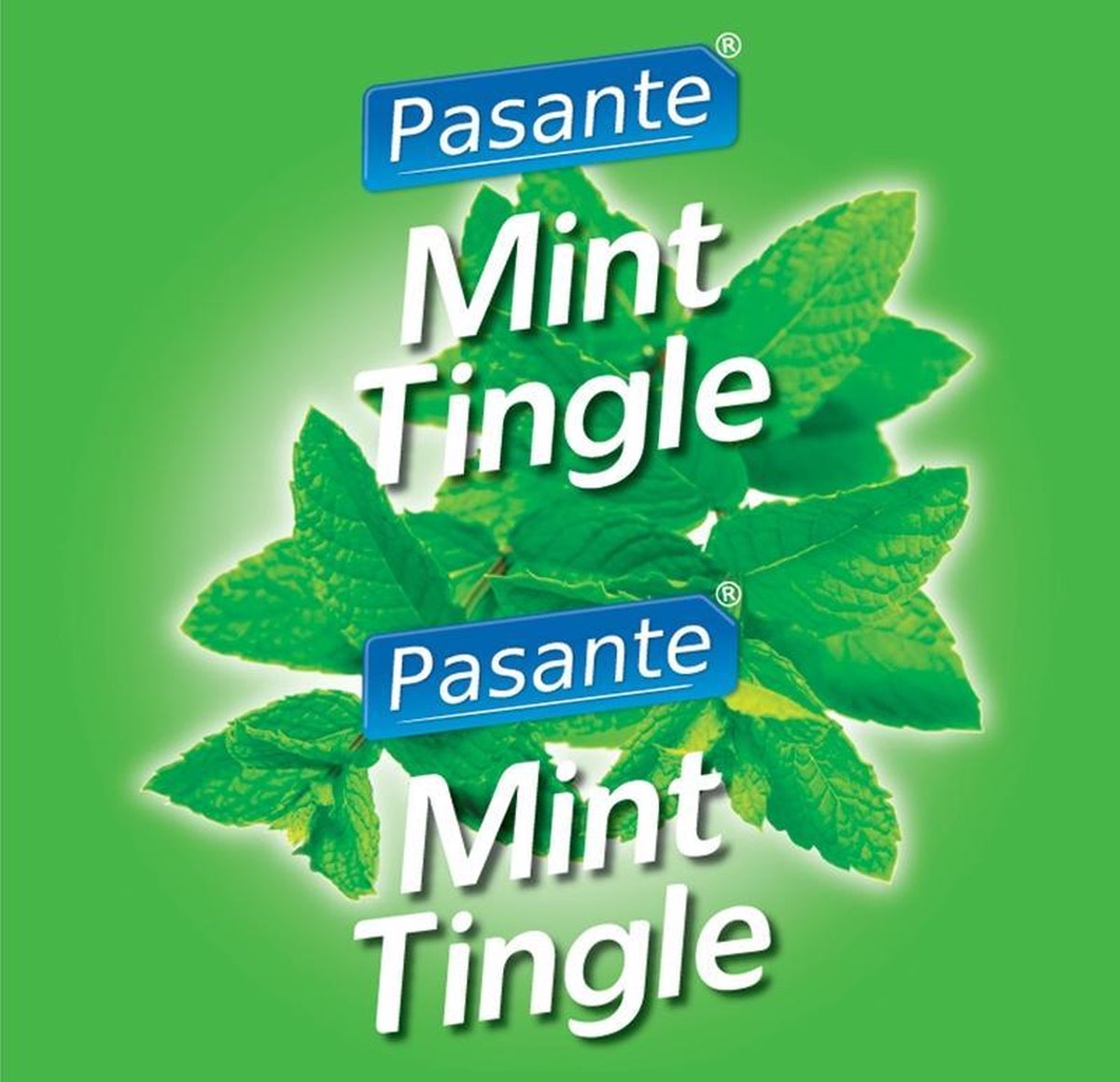Pasante Mint Flavour - 144 stuks - Condooms