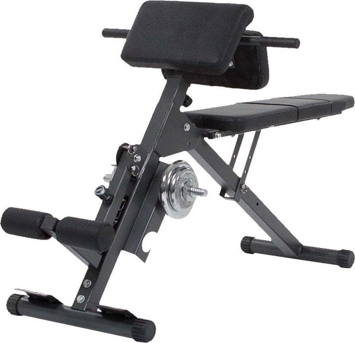 AB & BACK TRAINER