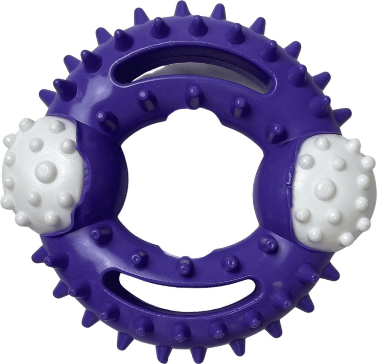Lepus Dental Cirkel Speeltje