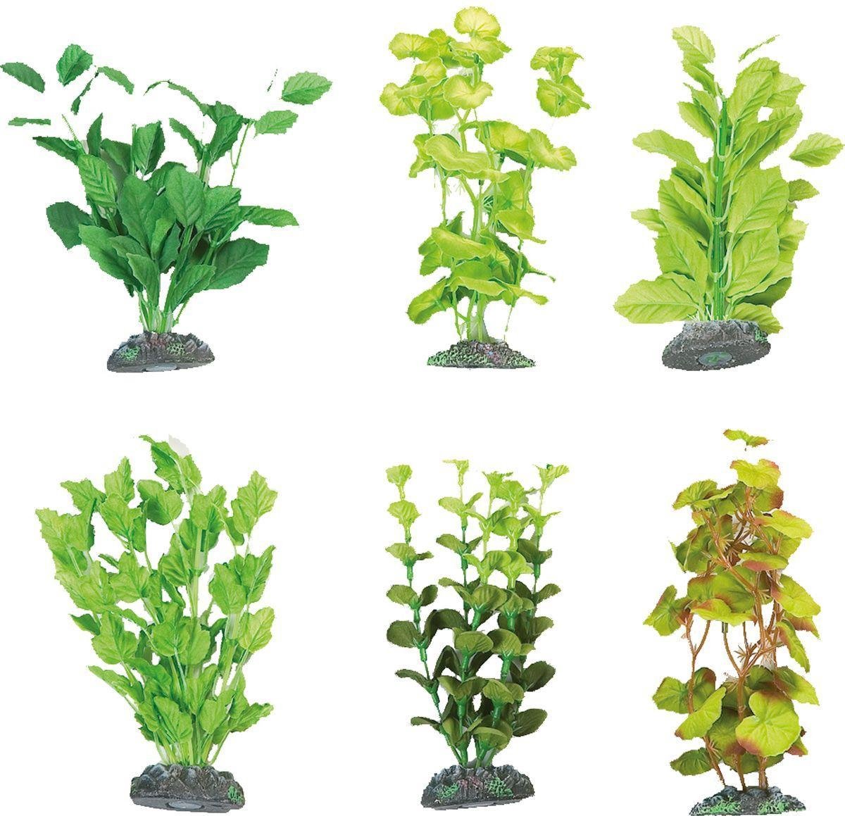 Aquarium plant Zijde Brasil - +/- 18 cm