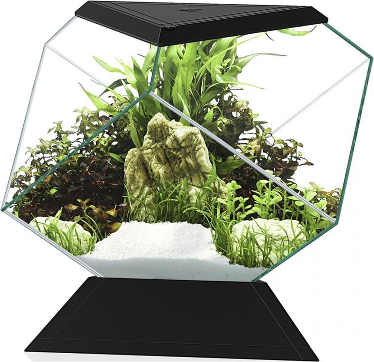 Ciano Aquarium nexus betta 5c Zwart 26