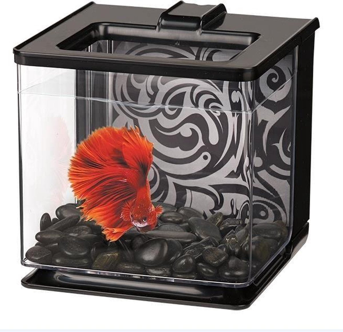 Marina - Aquarium Betta Ez Care - Zwart - 2
