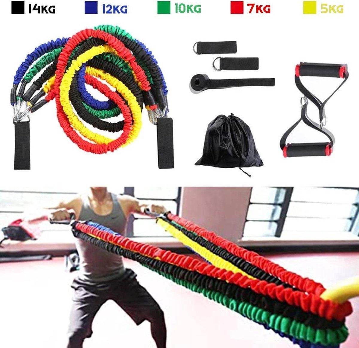 fitness elastiek Premium+ - Sportelastieken - Elastieken weerstandsbanden set – Weerstandsbanden – Home workout – Thuis Sporten – Fitness – Resistance bands – Trainingsset – Krachtraining - Pulvernutrition