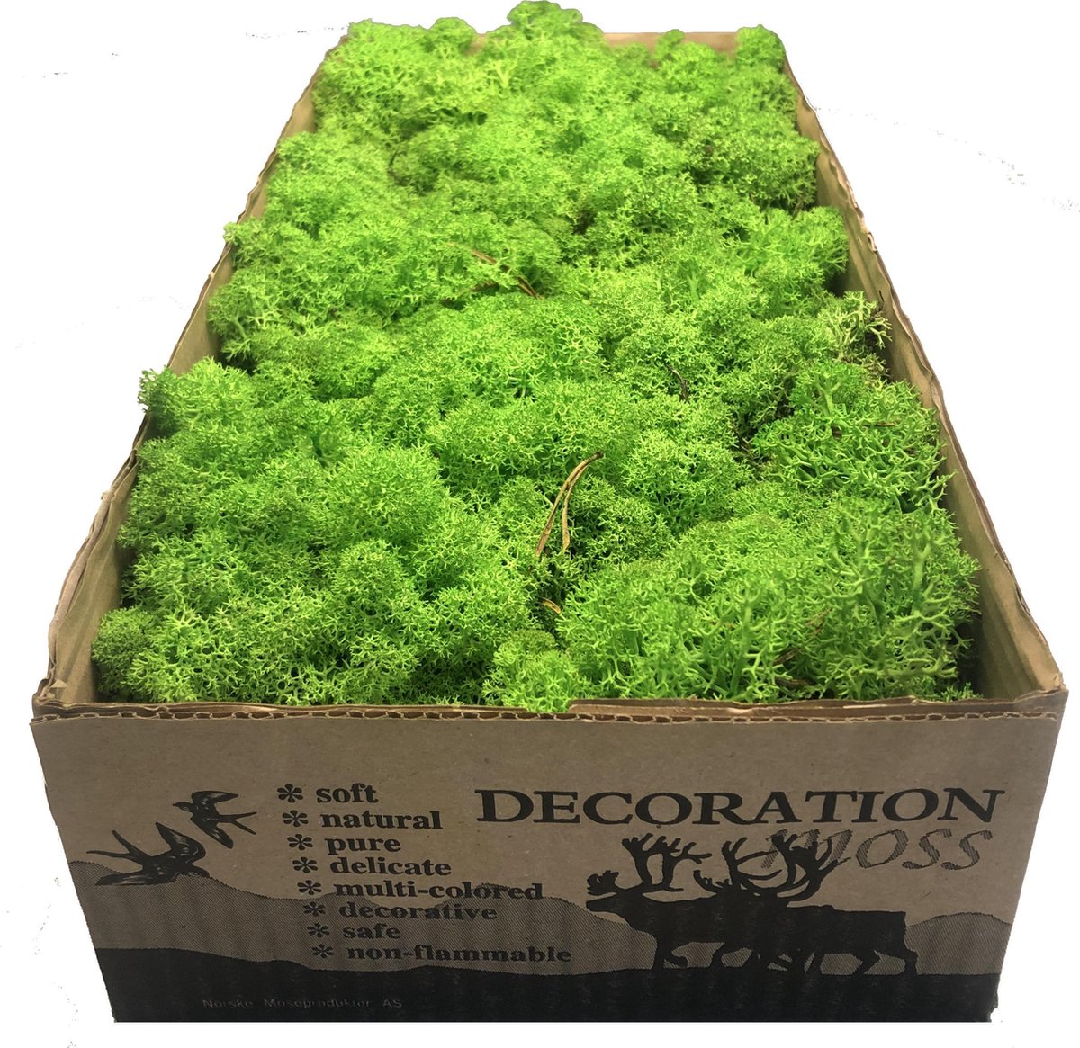 MosBiz Rendiermos gras licht groen per 500 gram voor decoraties