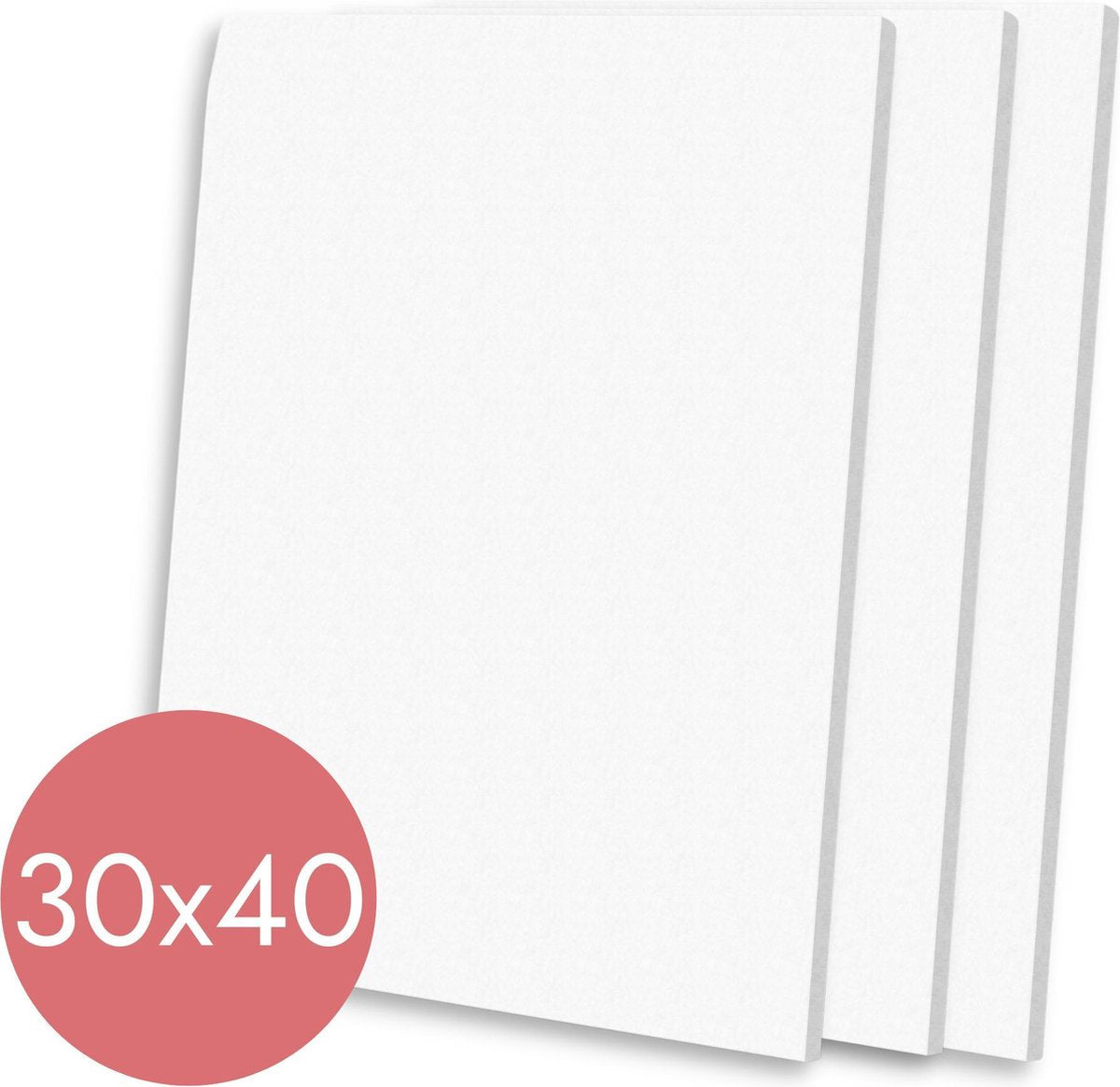 Trizzle Canvas Schildersdoek – 3 stuks Schildersdoeken 30x40 – Groot Schilderdoek Paneel Wit voor Schilderen