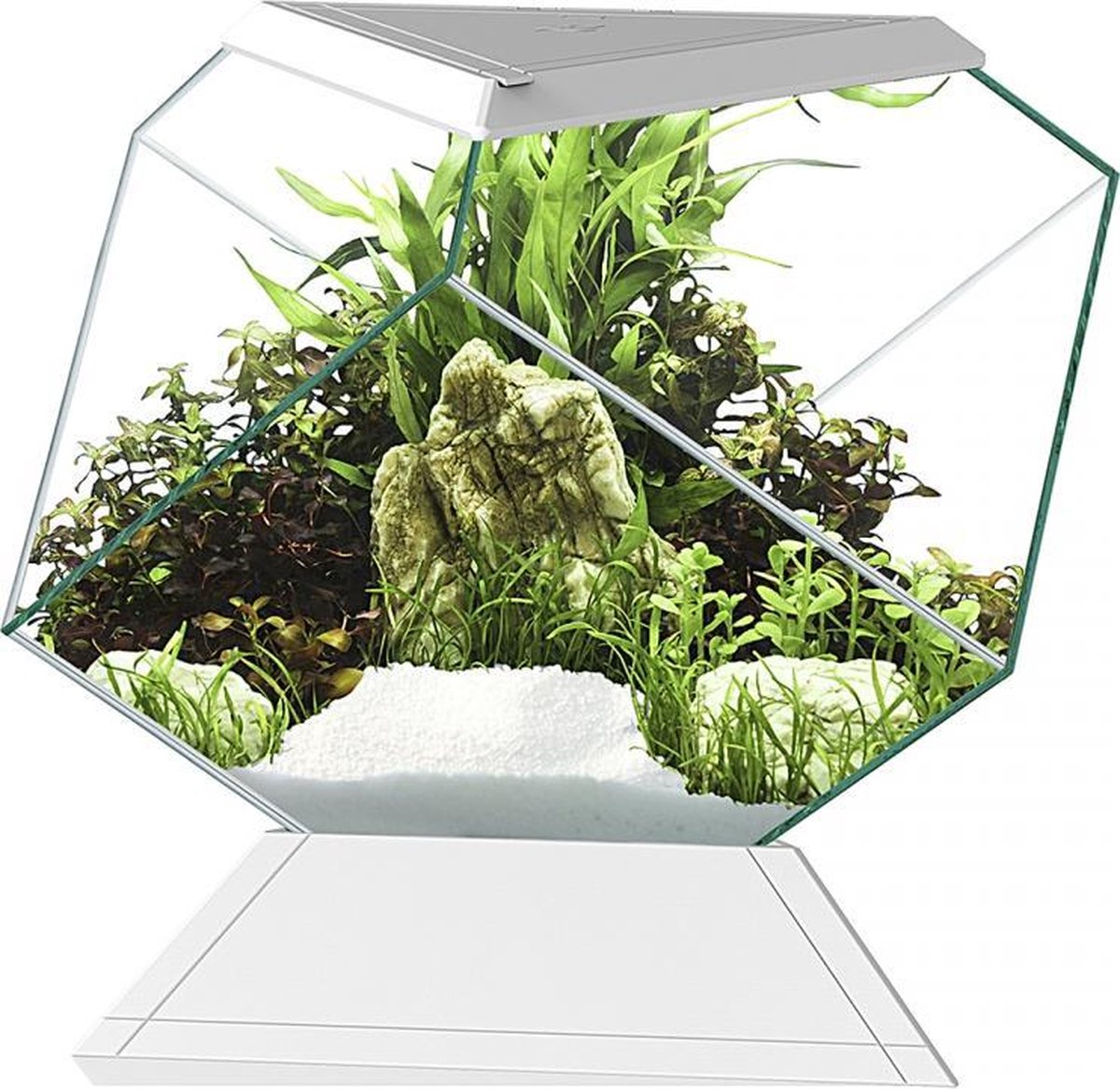 Ciano Aquarium nexus betta 5c Wit 26