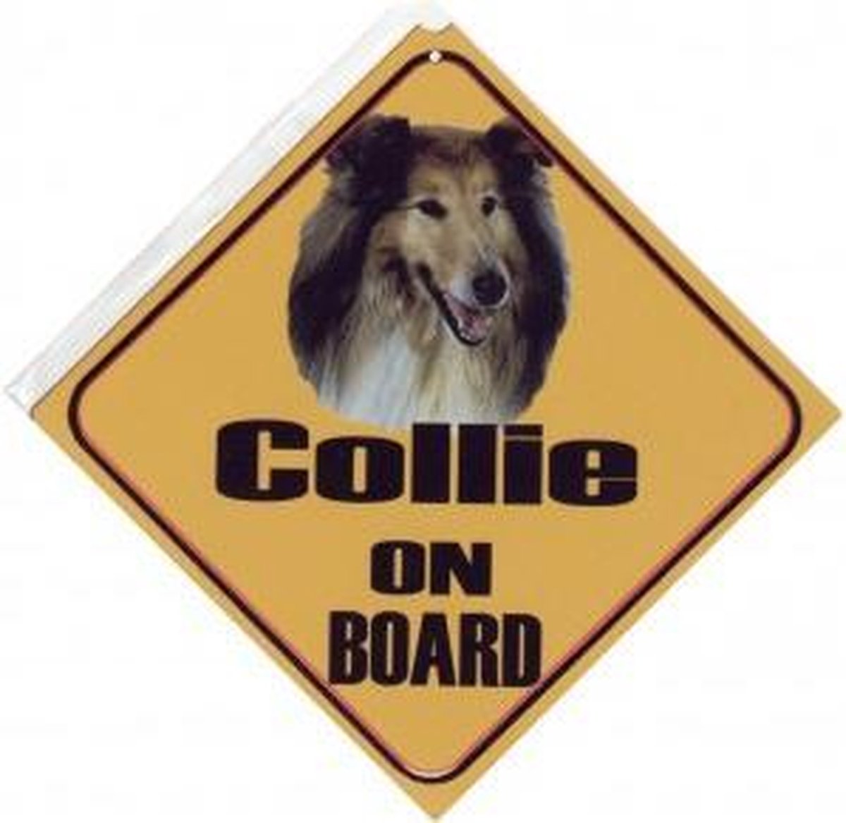 Autobordje Collie