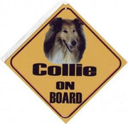 Autobordje Collie