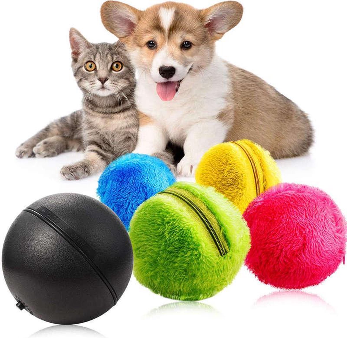 Petcare