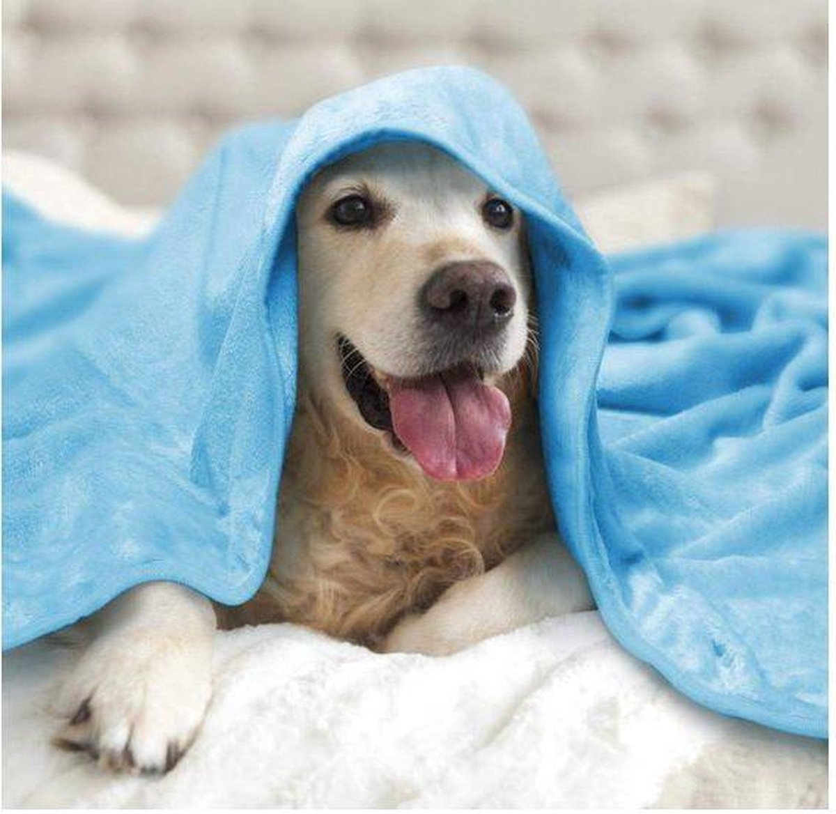 6x Deken voor honden en katten Blauw 80