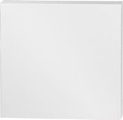 ArtistLine Canvas