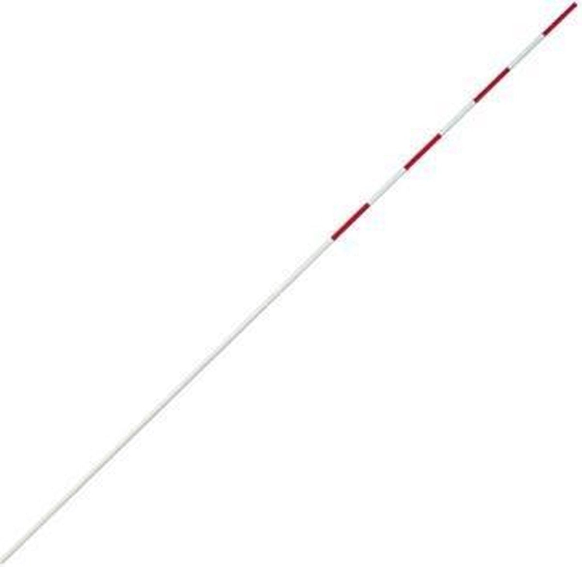 Amigo Antenne Glasfiber Ø 10 Mm 1