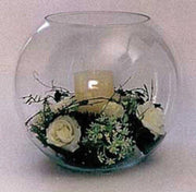 Gladult Vissenkom Aquarium - 28x28x28 cm - 11