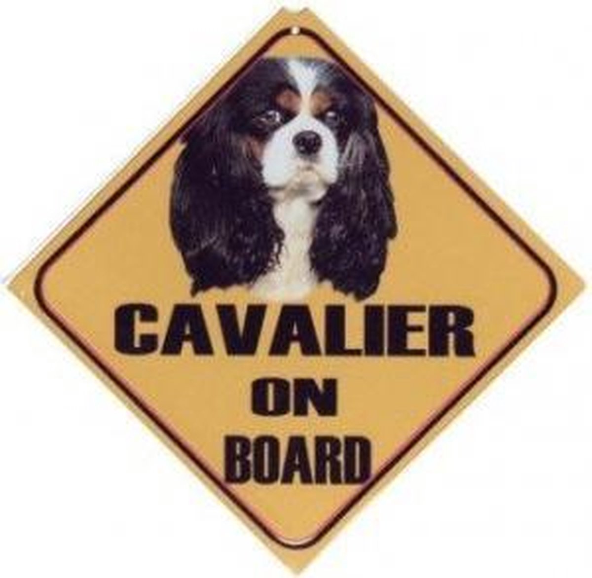 Autobordje Cavalier King Charles Spaniel Tricolore