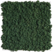 Stylegreen reindeer moss picture 35 x 35 CM mix