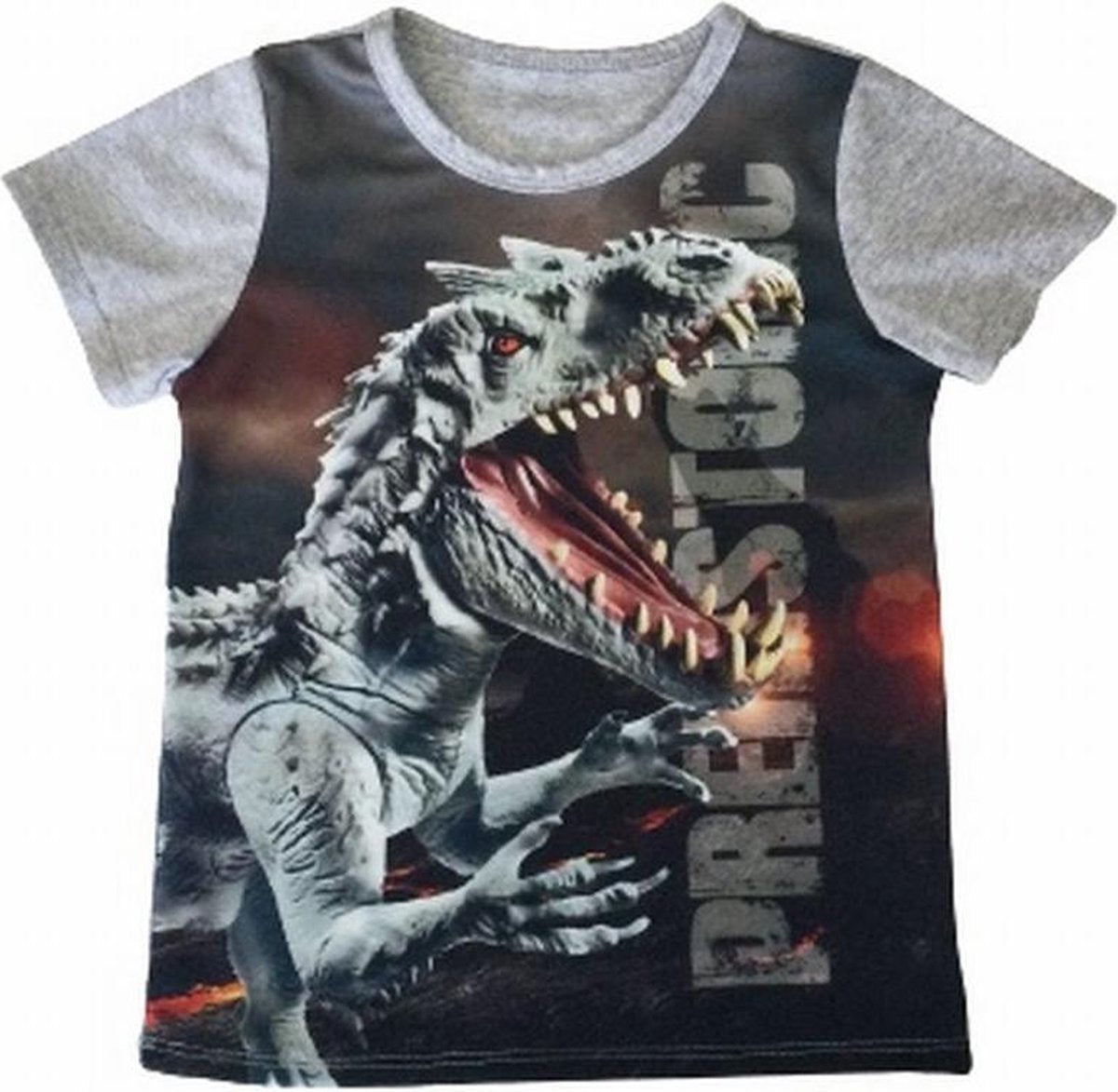 S&C dinosaurus t-shirt - Dino shirt - Prehistoric - grijs - maat 98/104 (4)