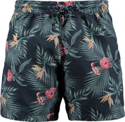 Barts - Heren - Pipe Shorts - Blauw - S