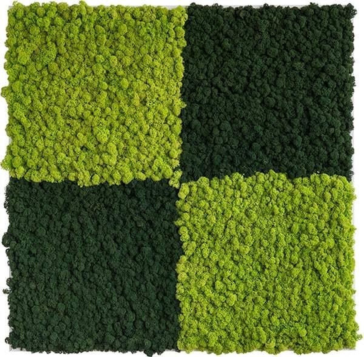 Stylegreen reindeer moss picture 80 x 80 CM zomer