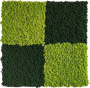 Stylegreen reindeer moss picture 80 x 80 CM zomer