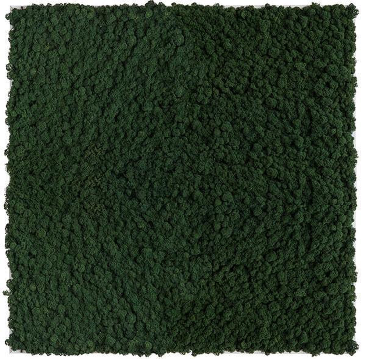 Stylegreen reindeer moss picture 80 x 80 CM zomer mix