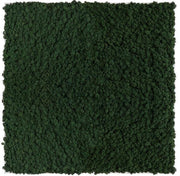 Stylegreen reindeer moss picture 80 x 80 CM zomer mix