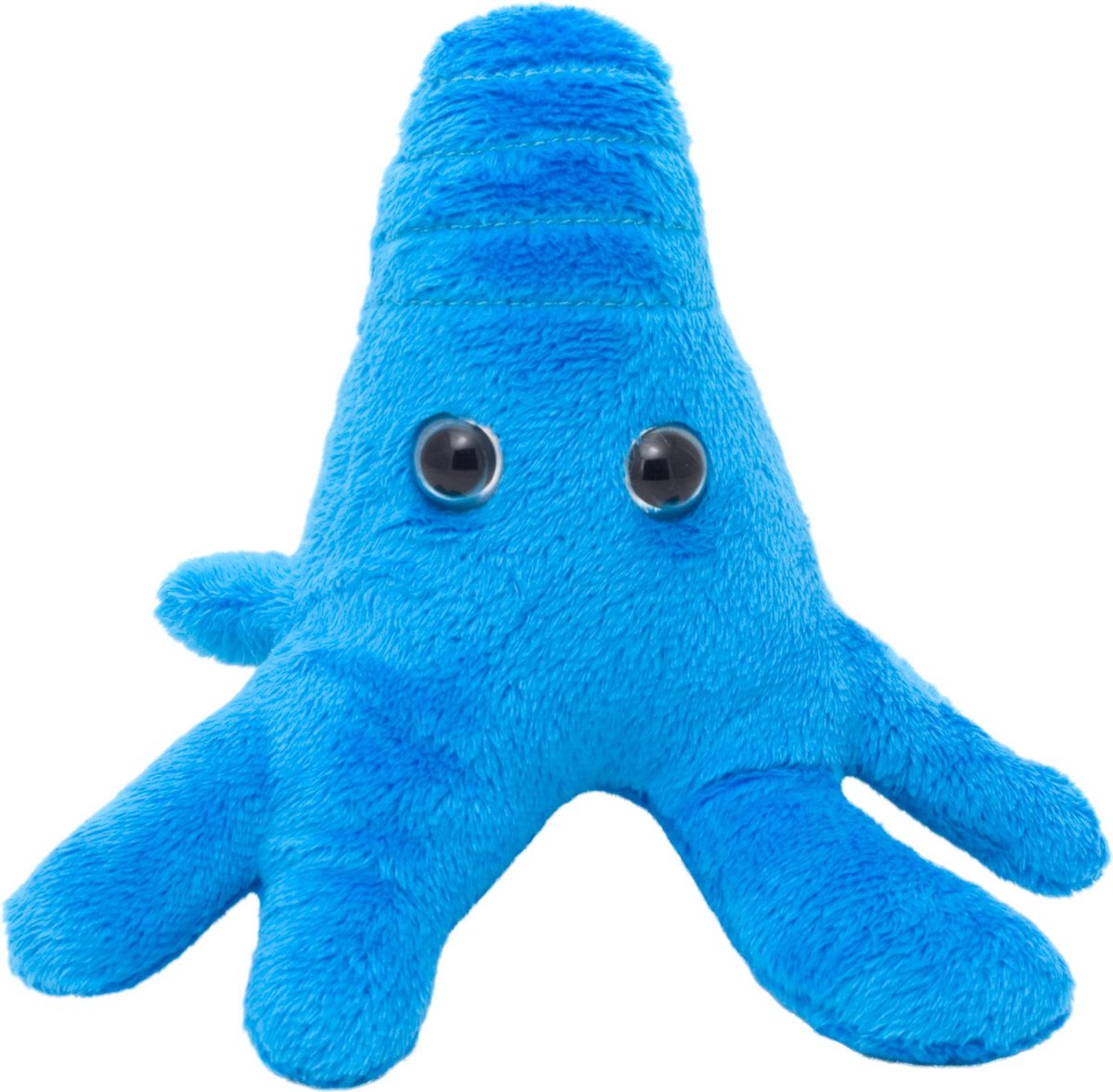Amoeba
