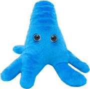 Amoeba