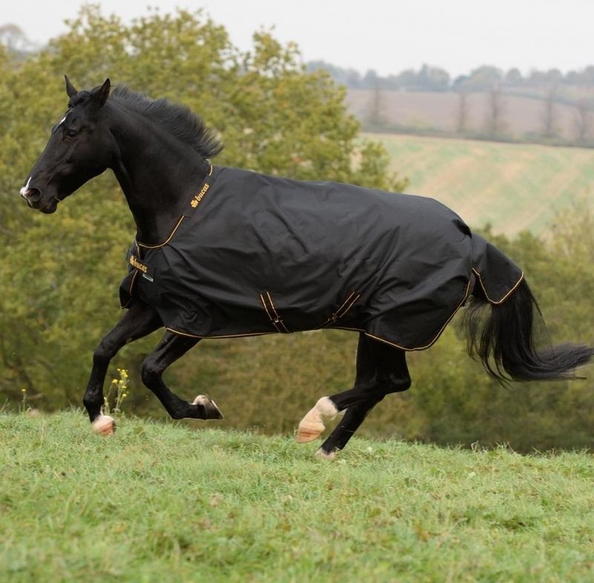 Bucas - Irish Turnout Classic Black / Gold 170