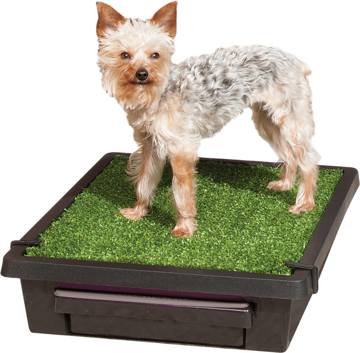 Pet Loo Draagbar Huisdierentoilet
