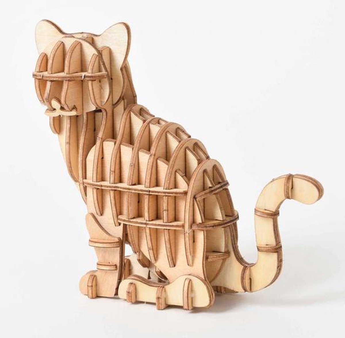 Houten modelbouw