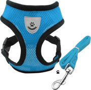 Blauw tuigje maat L - Honden tuigje - Katten tuig incl riem -‎‎