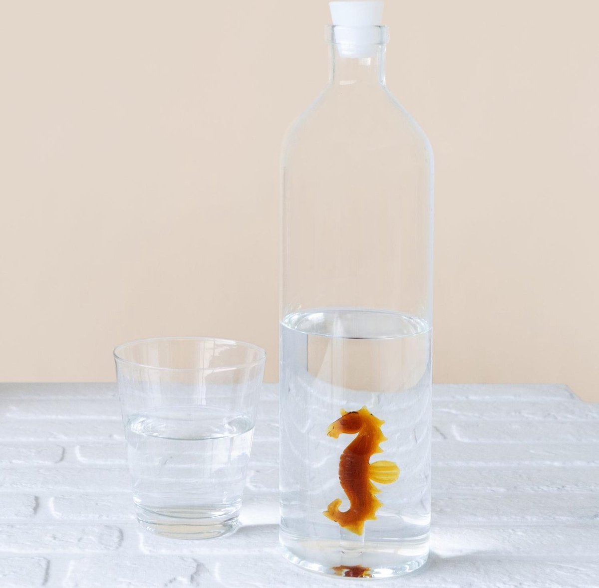 Waterfles - Zeepaard