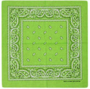 Haarbanden - Bandana - Hoofddoek - Mondbescerming - Zakdoek - Paisley - Lichtgroen- Kinderen - Dames