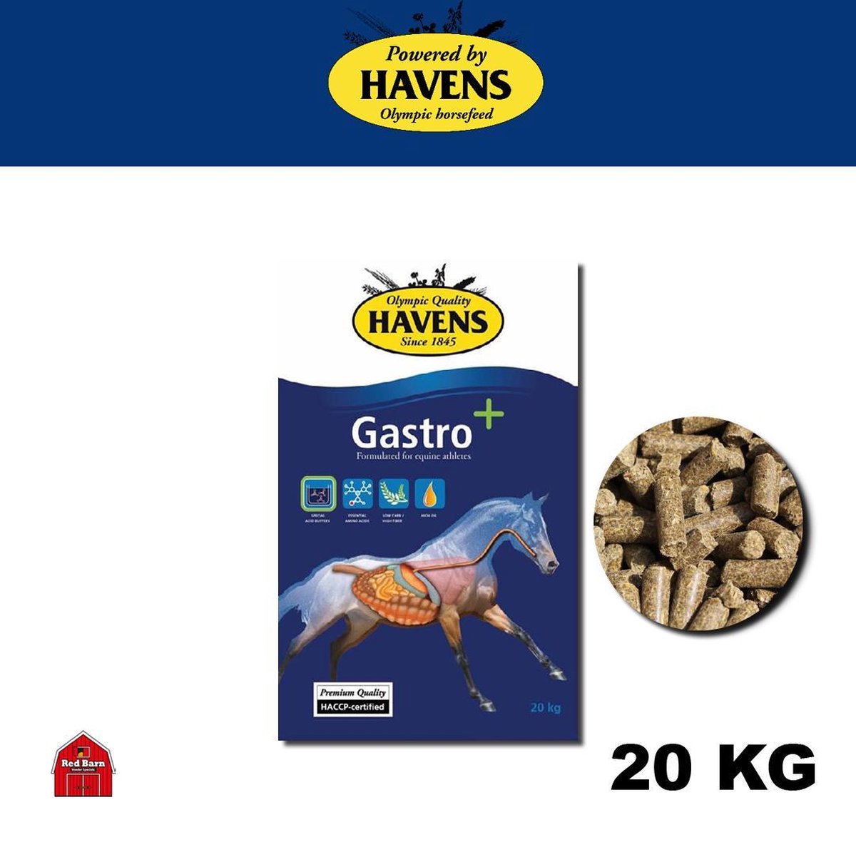 Havens Gastro +