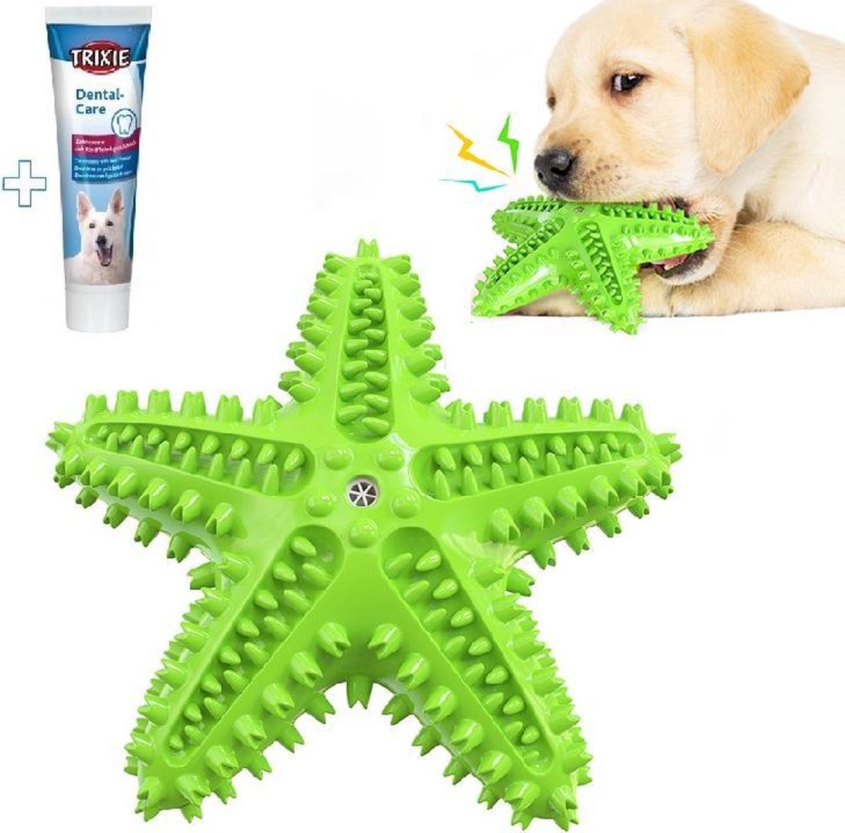 Tandenborstel + TANDPASTA Hond Piep Honden Speelgoed Dog Toy - Zeester Groen Tandverzorging Kauwbotten Hondenspeelgoed Hondenbot Kauwstaaf Tanden Puppy Hondenspeeltje Sterk Kauwspeelgoed Kong - Dutchwide®